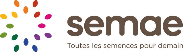 Semae